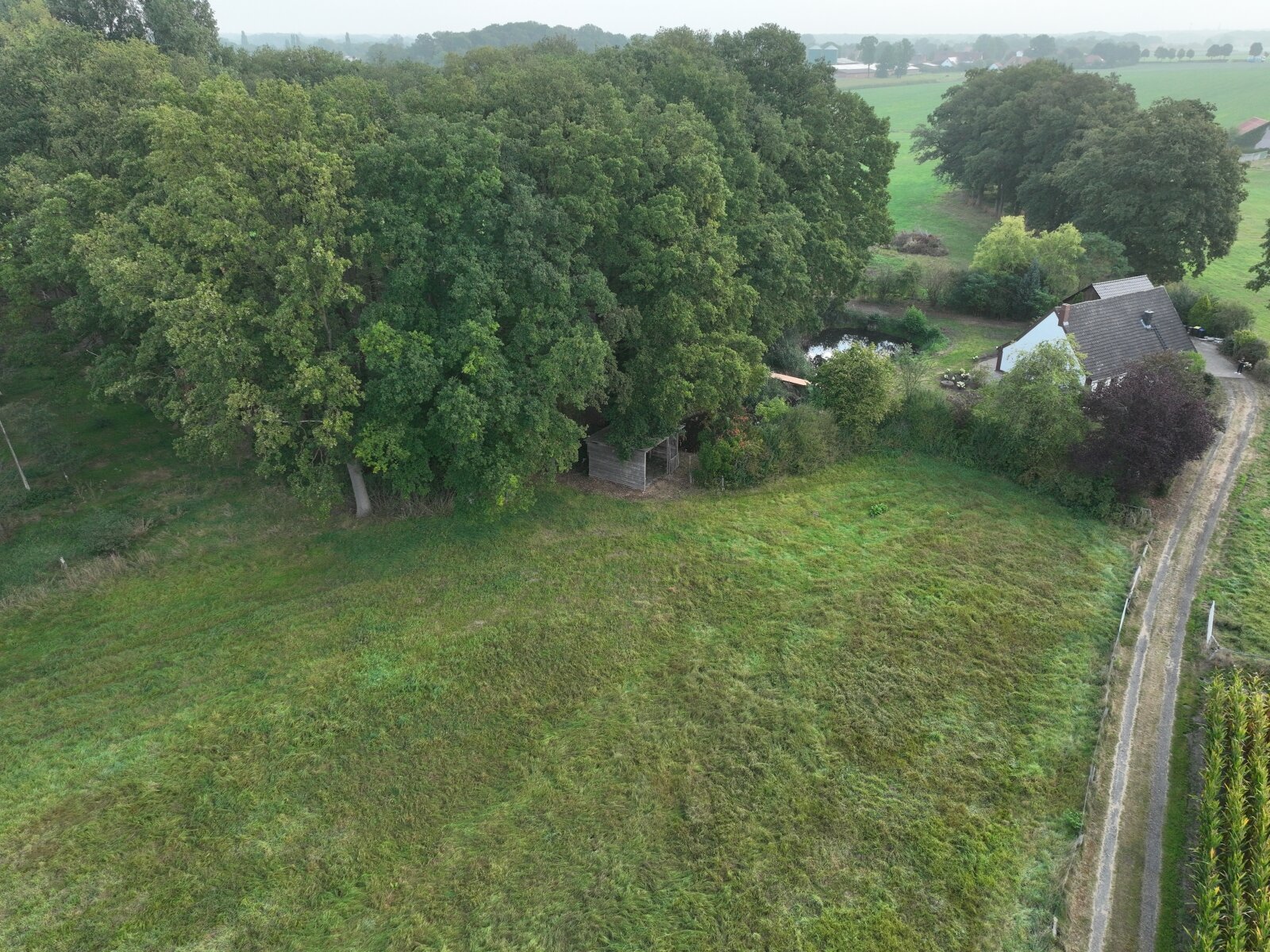 ****Wunderschönes Einfamilienhaus mit Teich- und Waldgrundstück und Pferdewiese und Offenstall in Alleinlage